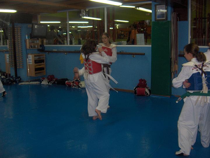 fotos taekwondo 011